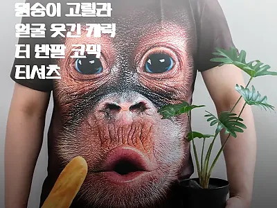 실사 오랑우탄 원숭이 고릴라 얼굴 코 관련 이미지 1